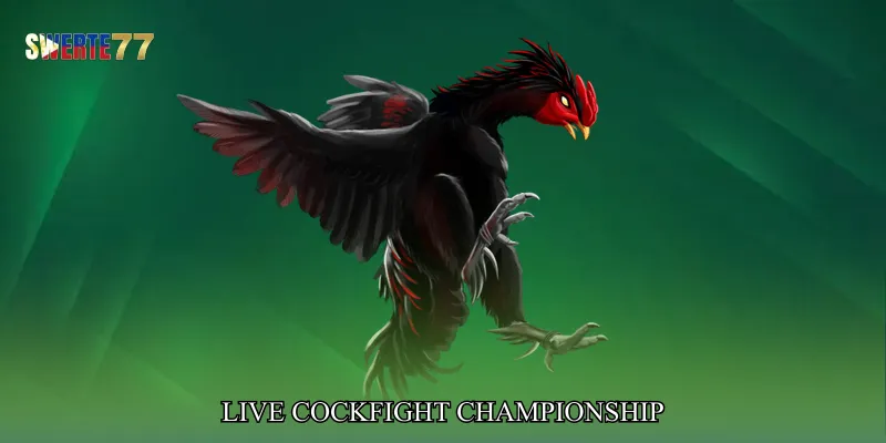 Live Cockfight Championship