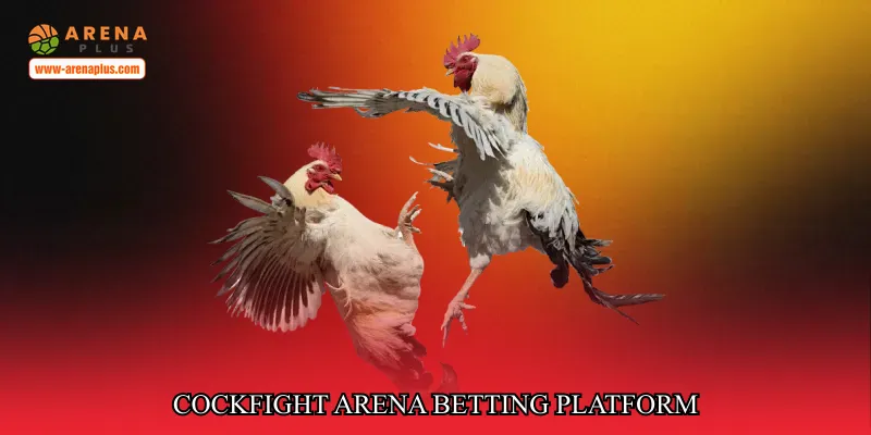 cockfight arena betting platform